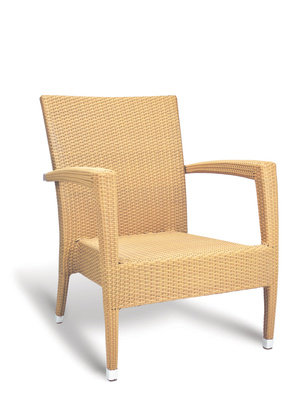 Asbury Lounge Chair-Resin Natural by GAR Products